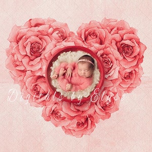Pink Rose Heart Newborn Photography Digital Backdrop
