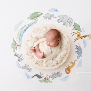 May include: A newborn baby sleeping in a white bowl surrounded by a circle of watercolor painted animals, including a giraffe, elephant, zebra, rhino, and lion. The animals are painted in a whimsical style with bright colors.