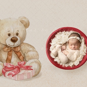 Teddy Bear Valentine Newborn Photography Backdrop (Digital Download)