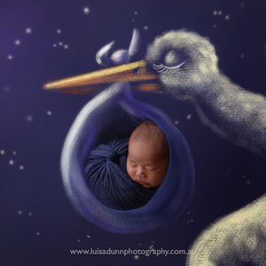 Digital Backdrop for Newborn Photography. Stork background