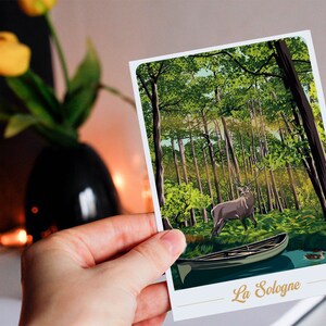 Carte postale de Sologne