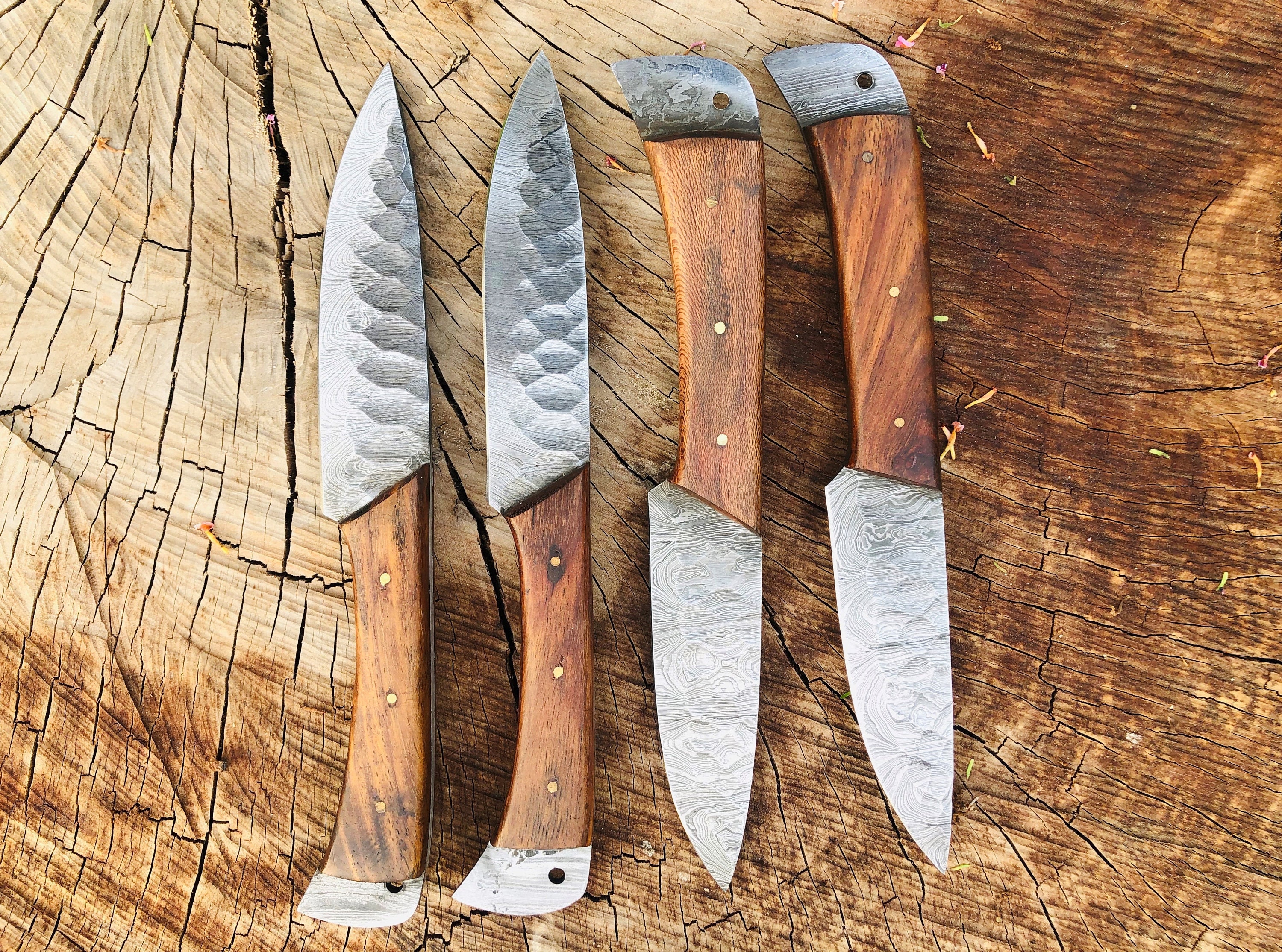 SKANDIA Vivid Steak Knives (Set of 4)  Steak knife set, Steak knives, Diy  fashion