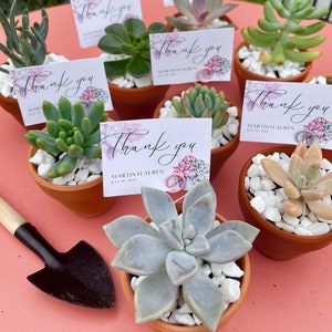 May include: Succulent plants in small terracotta pots with thank you cards attached. The cards have pink floral designs and the text "Thank you" with the names Martin and Lauren and the date 10 July 2022.
