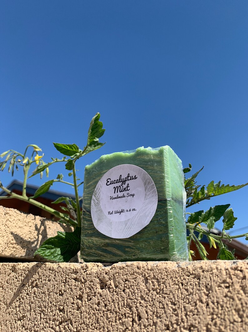 Eucalyptus Mint Handmade Bar Soap - Etsy
