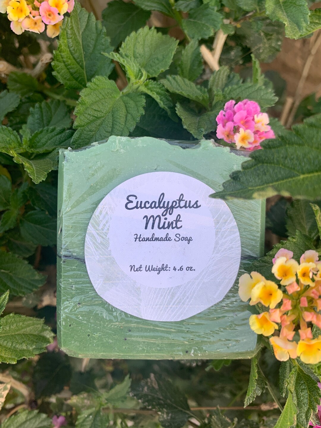 Eucalyptus Mint Handmade Bar Soap - Etsy