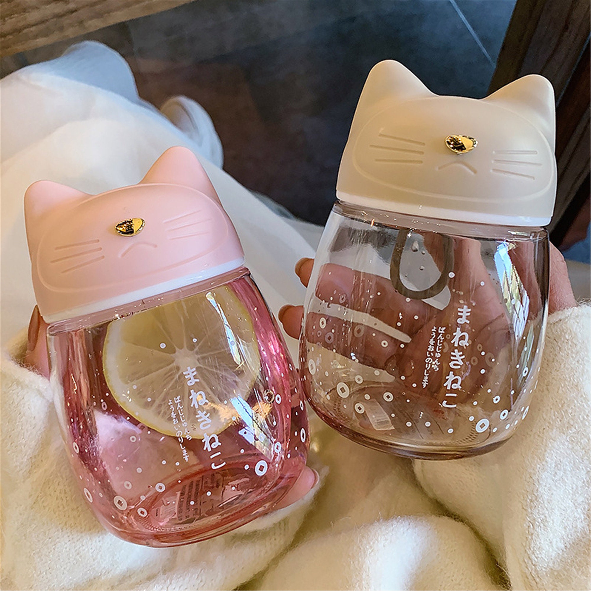 300mlcute Cat Glass Water Bottlekawaii Cat Bottlejapanese Etsy UK