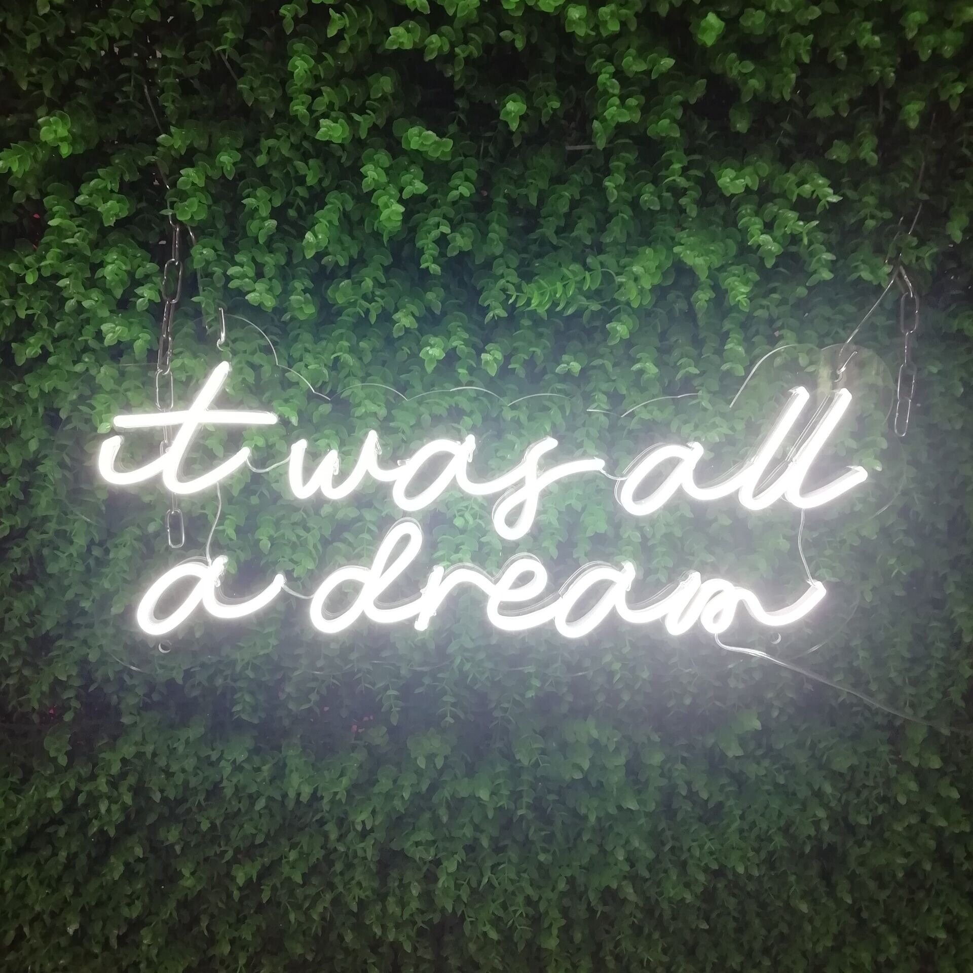 It Was All A Dream Neon Sign It Was All A Dream Neon Sign LED Neon SignHome Decor Neon | Etsy
