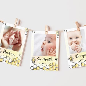 Bee monthly photo banner, Babys first year photos, Milestone banner, Bee 1st birthday party decorations, First Bee Day 12 month banner - 61A