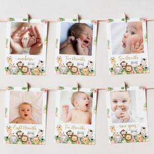 Girl Safari monthly photo banner, Babys first year photos, Milestone banner, Jungle 1st birthday decorations, Editable 12 month banner - 35E
