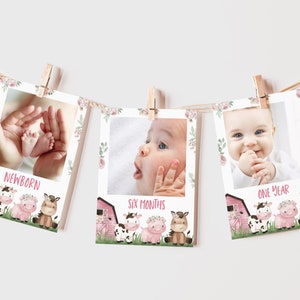 Girl Farm monthly photo banner, Babys first year photos, Milestone banner, Pink Barnyard first birthday decorations, 12 month banner - 11A