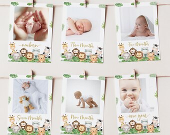 JeVenis 1. Geburtstag Foto Banner Set – Hummel Biene Motive Für 12 Monatsfotos, Inkl. Clips & „Bee One“ Banner