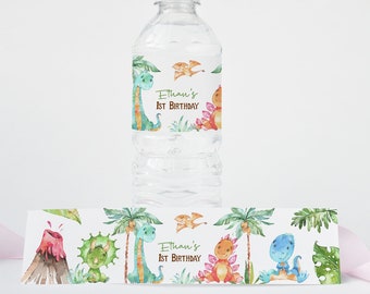 EDITABLE Dinosaur water bottle labels, Custom Dino Birthday decorations, Dinosaurs theme party printable labels - 08A