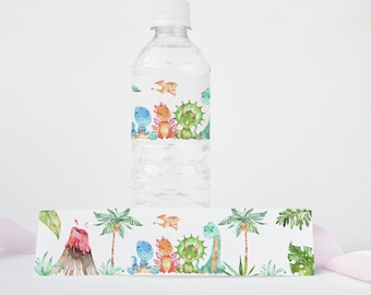 Dinosaur water bottle labels, Instant Download, Dino birthday Decorations, Dinosaurs theme party printable labels - 08A