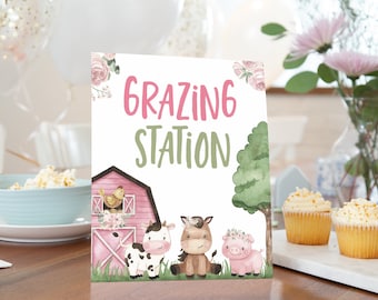 Grazing Station sign, Girl Farm birthday decorations, Food table sign, Floral Farm baby shower decoration, Pink barnyard bash - 11A