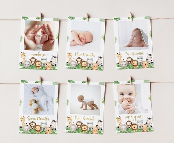 Safari monthly photo banner, Babys first year photos, Milestone banner, Jungle 1st birthday decorations, Editable 12 month banner - 35E Il_570xn