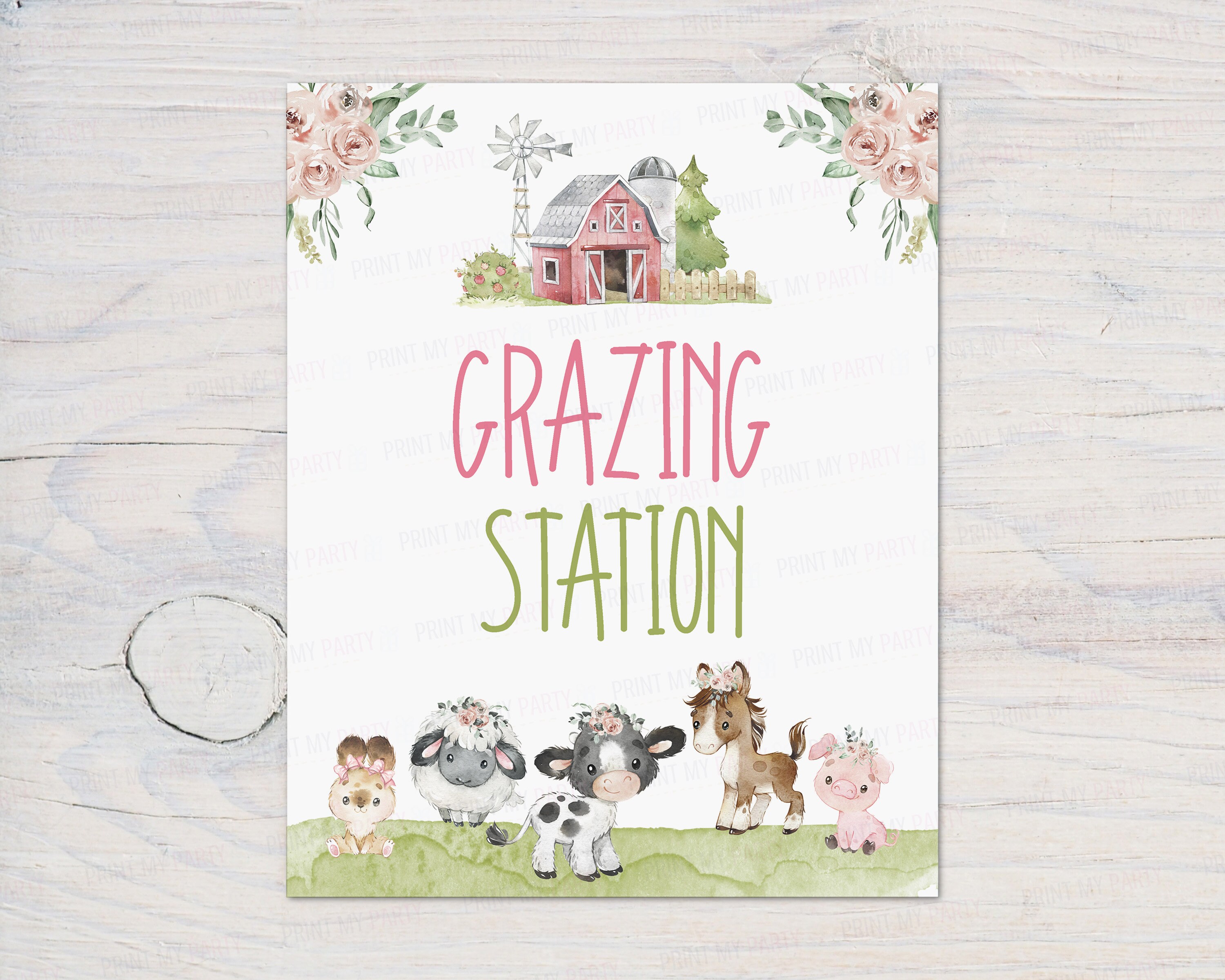 Grazing Station Sign Girl Farm Birthday Decorations Food Etsy