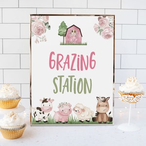 Grazing Station sign, Girl Farm food table signs, Floral Farm Birthday Party sign, Girl baby shower decoration, Pink barnyard party - 11A