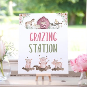 Grazing Station sign, Girl Farm birthday decorations, Food table signs, Floral Farm baby shower decoration, Pink barnyard bash - 11B