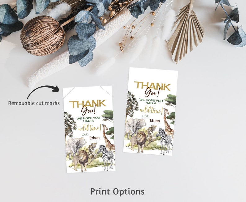 May include: Thank you cards with a jungle theme. The cards feature a watercolor illustration of a lion, zebra, giraffe, elephant, and other animals. The text on the cards reads "Thank You! We hope you had a wild time! Love, Ethan".