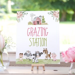 Grazing Station sign, Girl Farm birthday decorations, Food table sign, Floral Farm baby shower decoration, Pink barnyard bash - 11C1
