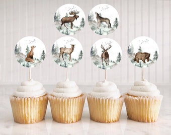 Woodland cupcake toppers, Forest birthday party decorations, Woodland animals baby shower, woodland creatures, boy party printables - 47H