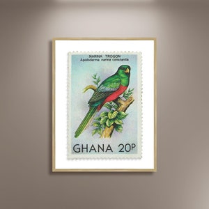 Póster de lienzo con la impresión del sello Narina Trogon de Ghana 1984, aves en el sello, póster de sello de viaje vintage africano