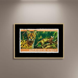 Sello postal de la República de Senegal, póster de sellos de África occidental, sello de animales, decoración de arte mural con imágenes, impresiones de carteles de viajes antiguos