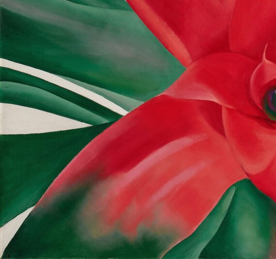 ジョージア・オキーフ風の特大花柄絵画、鮮やかな赤いブロメリアの花の