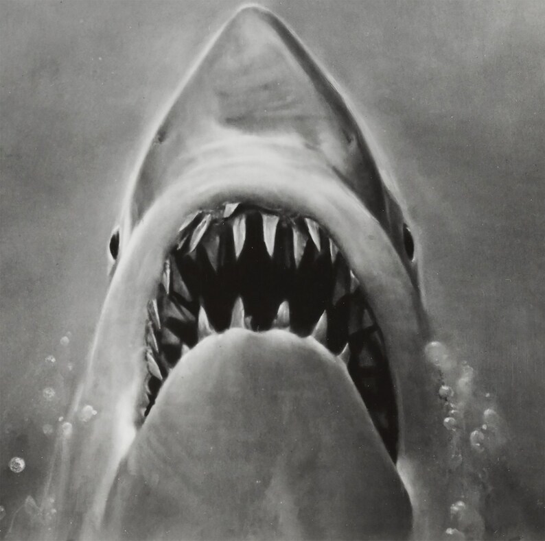 Jaws Movie Poster Black and White Photo Poster Print Canvas Etsy