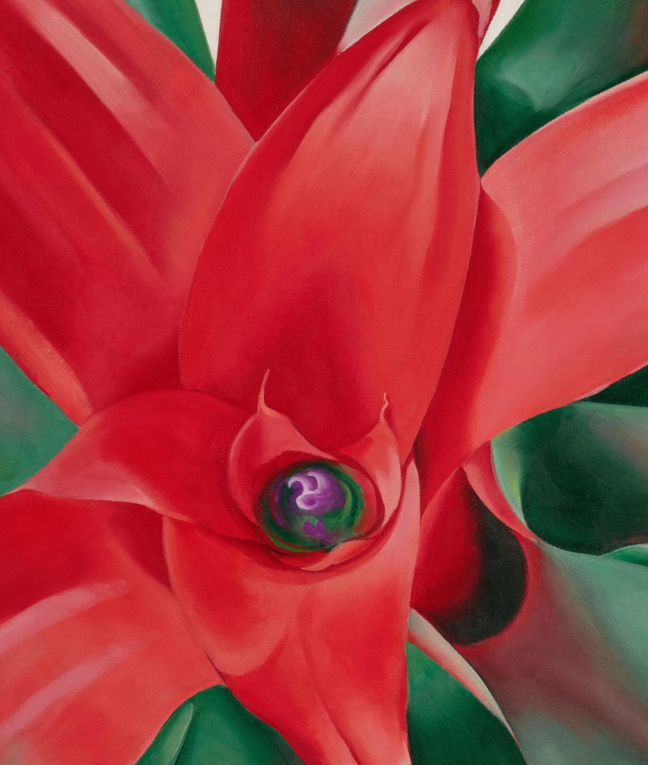 ジョージア・オキーフ風の特大花柄絵画、鮮やかな赤いブロメリアの花の