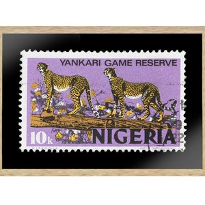 Vintage Afrikanische Briefmarke Kunst Porto, Nigeria Briefmarke, Yankari Game Reserve, Tiger Foto, Gedruckte Bild Wandkunst, Reise Poster Drucke