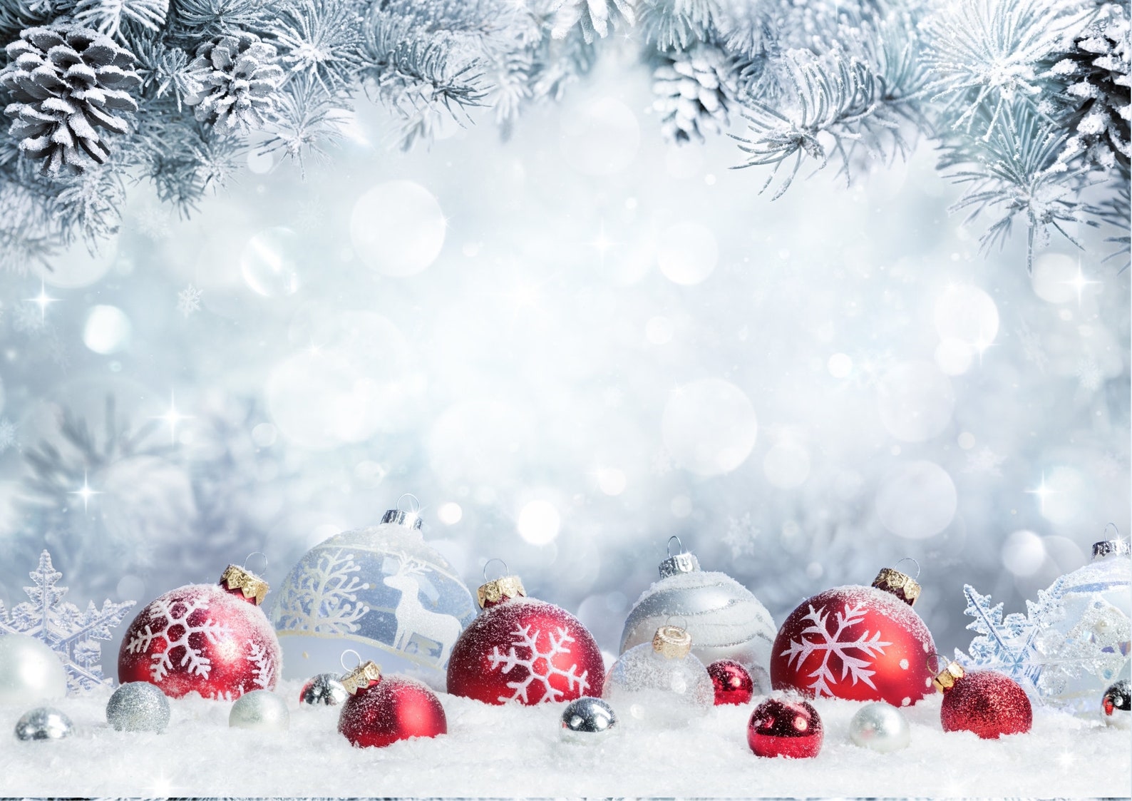 Christmas Backdrops Set of 5 Photography Backgrounds Winter | Etsy