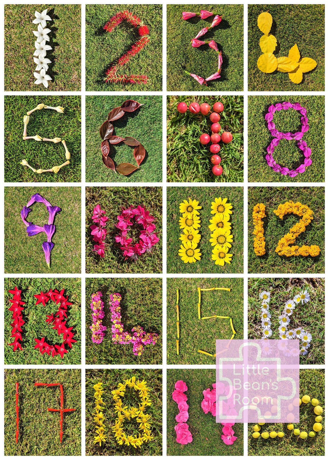 123 Flower Numbers Download Set 1 to 20 PDF file for posters Etsy