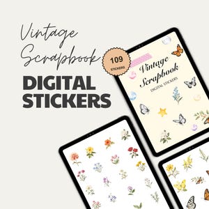 Digital Stickers Goodnotes, Precropped Digital Planner Stickers, Daily Digital Stickers, Aesthetic Digital Stickers