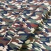 Sale! Army Camouflage 100% Cotton Camou Print Fabric 57”W Material BTY for clothing face masks crafts quilting 