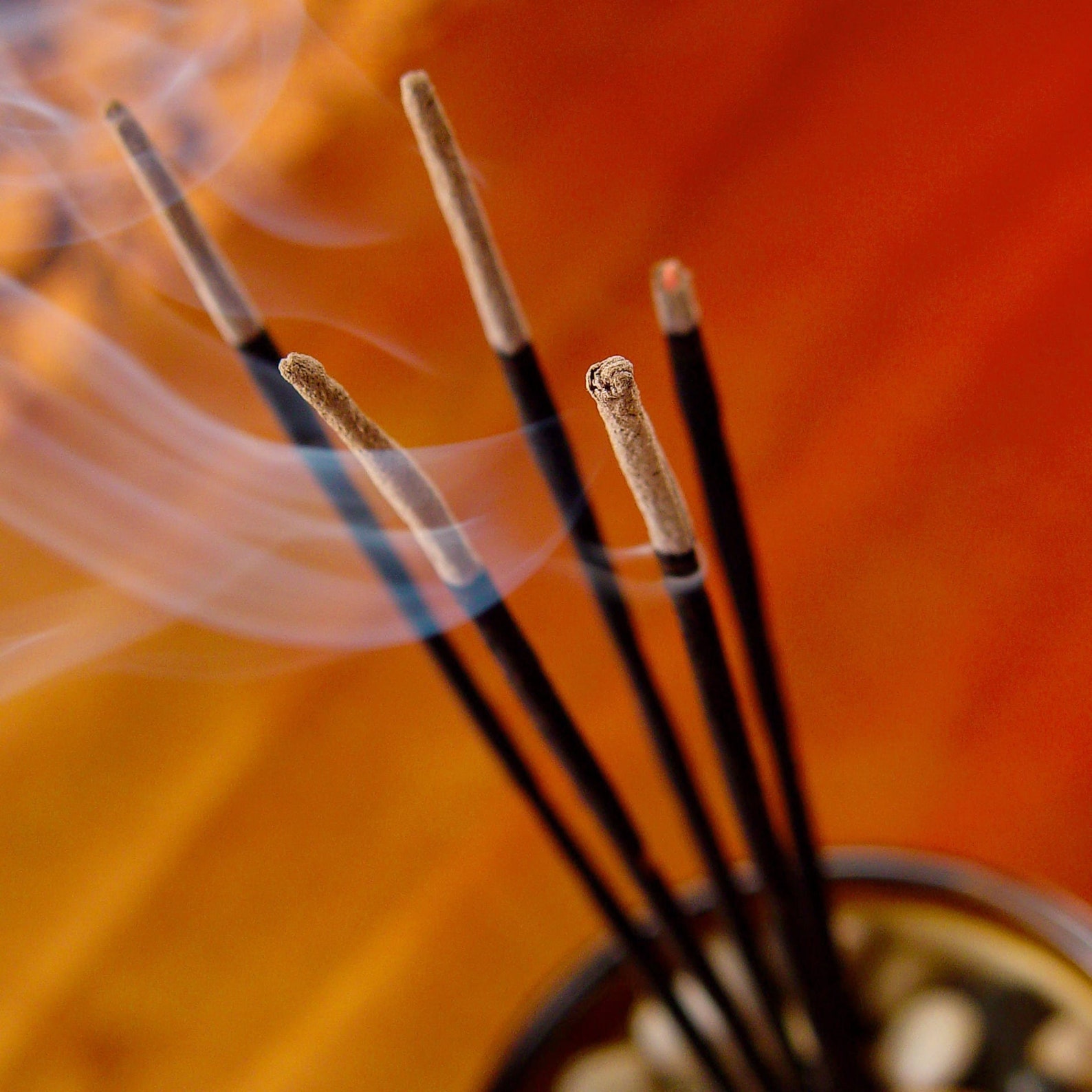 HEM Eucalyptus Incense Sticks 120 Sticks Etsy