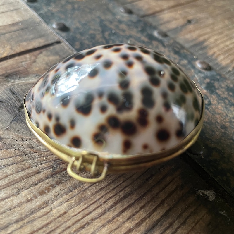 Shell Pill Box - Etsy