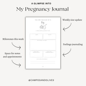 May include: A white page from a pregnancy journal titled A GLIMPSE INTO My Pregnancy Journal. The page features a line drawing of a fig, the text YOU ARE THE SIZE OF A fig, 11 WEEKS DOWN & 29 WEEKS TO GO, and sections for mood, weight, milestones, feelings, and notes.
