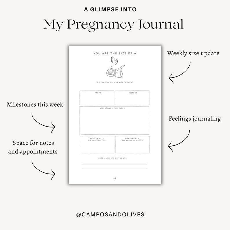 May include: A white page from a pregnancy journal titled A GLIMPSE INTO My Pregnancy Journal. The page features a line drawing of a fig, the text YOU ARE THE SIZE OF A fig, 11 WEEKS DOWN & 29 WEEKS TO GO, and sections for mood, weight, milestones, feelings, and notes.