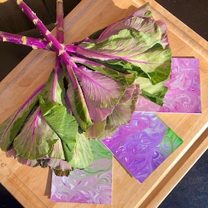 Purple kale-inspired 4-pack image 1