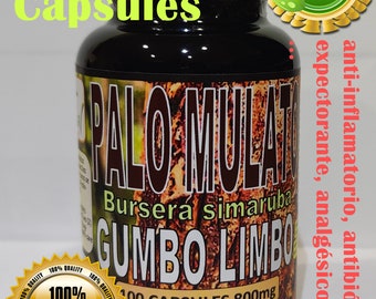 Palo Mulato Bursera Simaruba Naked Indian Mulatto Stick Jiñocuabo Gumbo Limbo - Online Marketplace