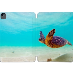 May include: A green sea turtle swims through clear blue water with a sandy bottom. The turtle is facing the right side of the image.