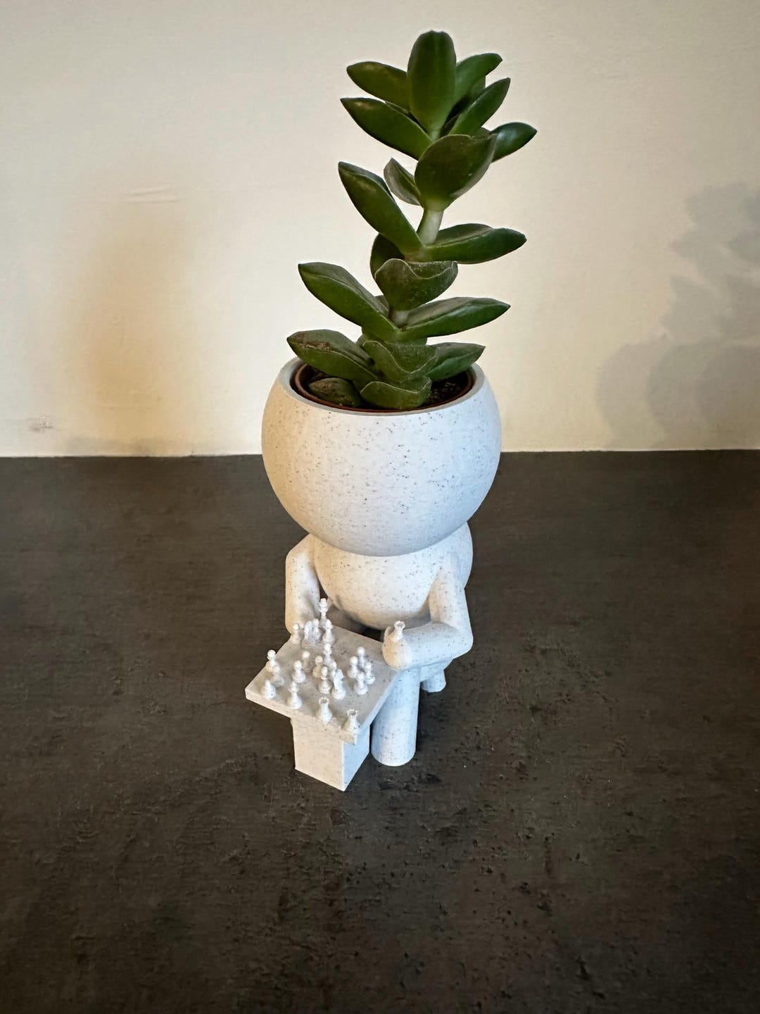 Chess Player Succulent Planter Airplant Holder Cactus Plant Pot wee chess-player-succulent-planter-airplant-holder-cactus-plant-pot-wee
