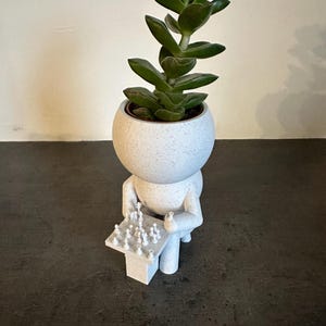 May include: White ceramic planter shaped like a person playing chess, with a green succulent plant growing out of the top of the planter's head.
