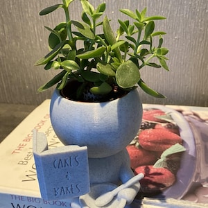 Cake maker gift succulent planter &quot;Wee Jimmy Berry&quot; - Ships from USA