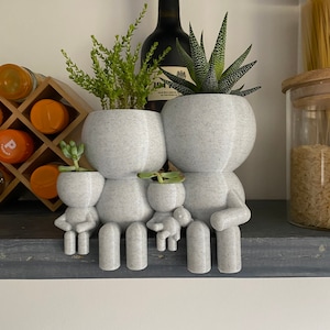 Famille de quatre pots de plantes succulentes - Expédié des États-Unis