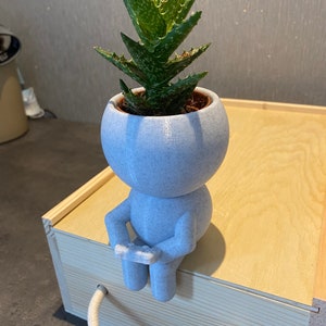 Gamer succulent plant pot airplant holder &quot;Wee Jimmy gamer&quot; - Ships from Australia