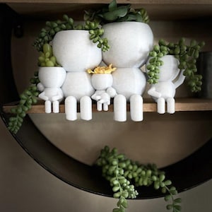 Family of 5 gift succulent planter airplant holder "Wee Jimmy’s Family of Five" - Ships from Australia