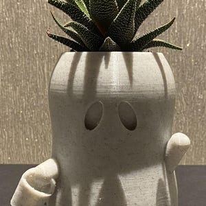 May include: A white ghost-shaped planter with a small succulent plant inside. The planter has two black eyes and a small arm reaching out. The planter is sitting on a black book with the title "ACBRII L K Blood" visible.