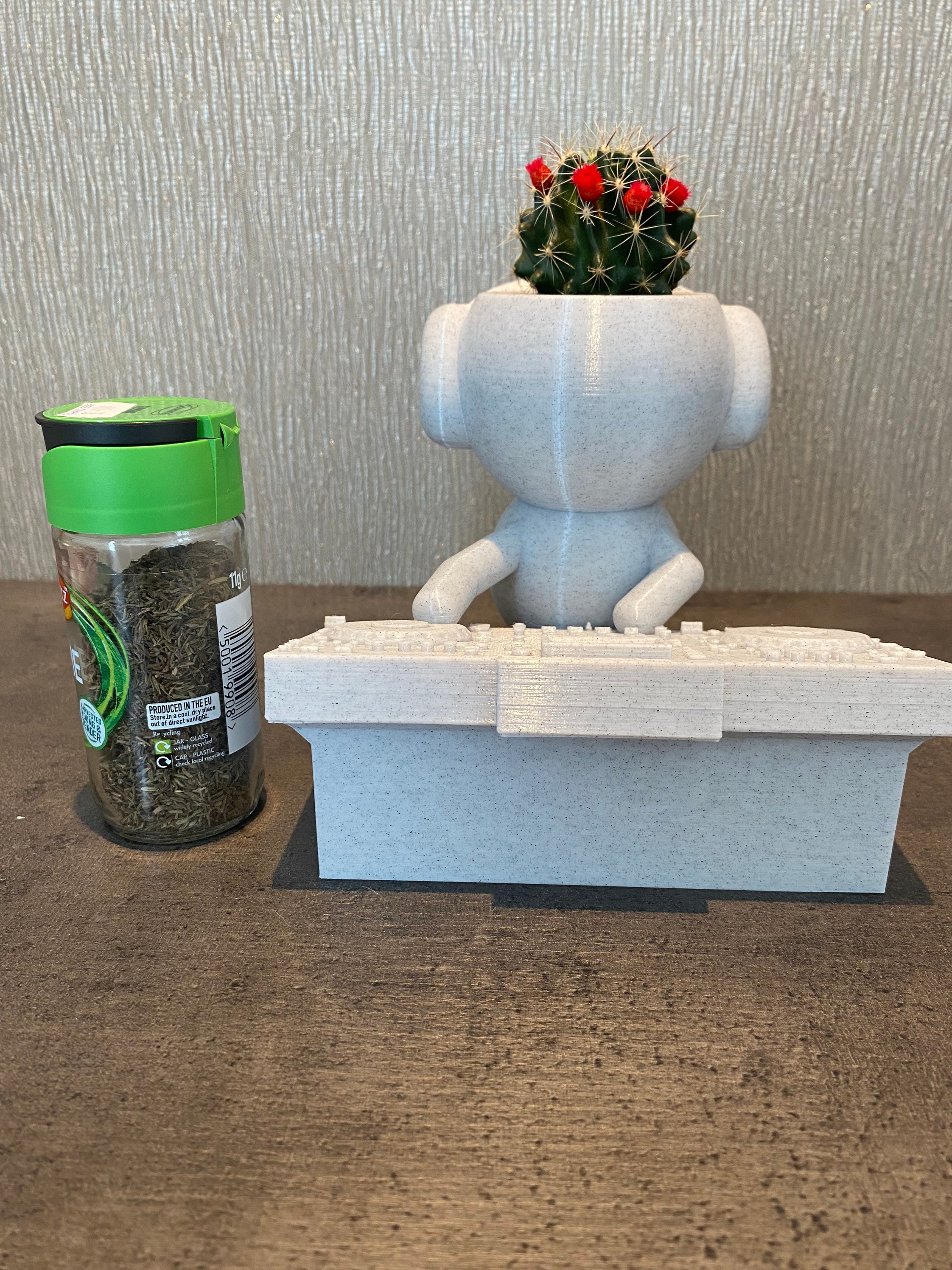 Dream Plants ٩(❛ᴗ❛)۶専用 Wee Jimmy Deck Wizard DJ Whimsical Quirky Succulent Planter